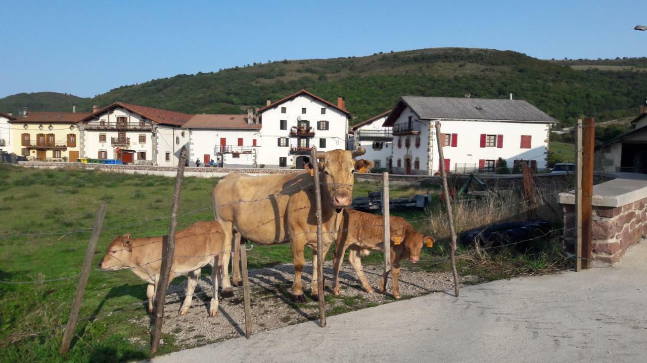 Pension El-La Viscarret-Guerendiain 외부 사진